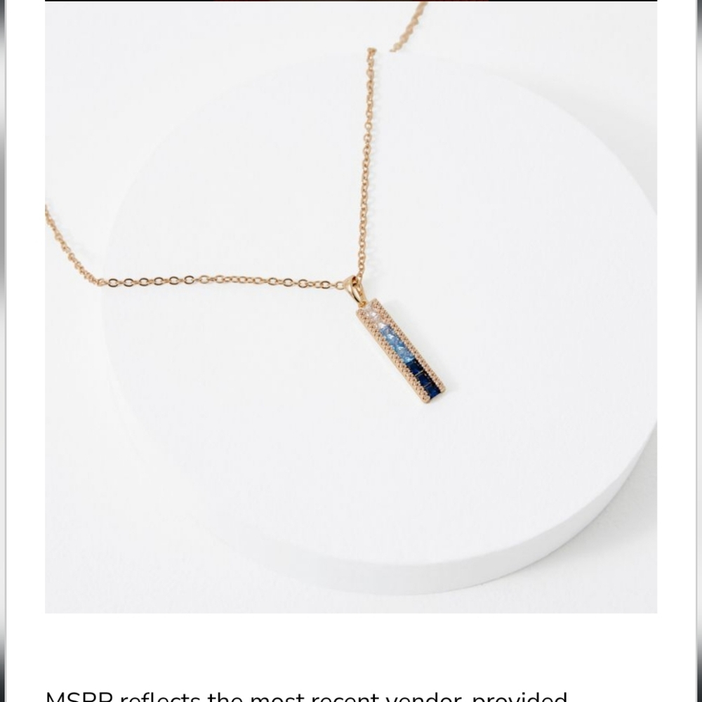 Vince Camuto Necklace